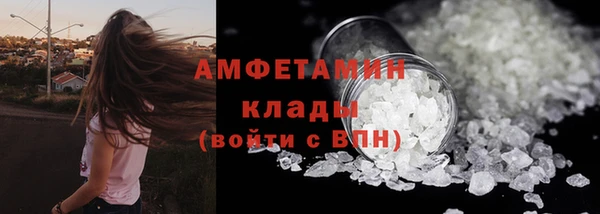 сатива Алзамай