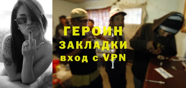 индика Алексин