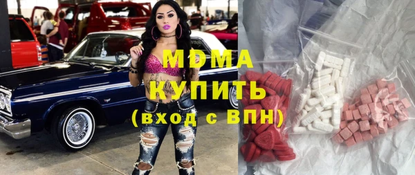 индика Алексин